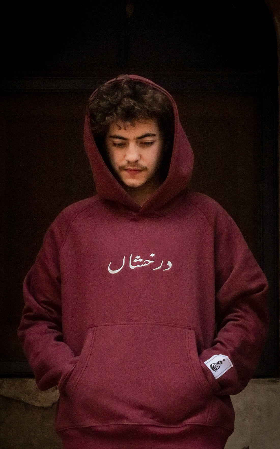 Darakhshaan Embroided American Cut Hoodie | Overfit